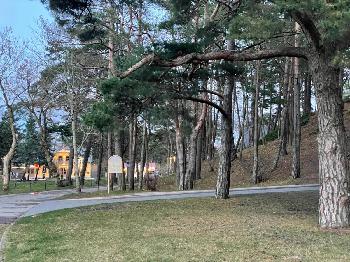 Daukanto Apartmentas Palanga Bagian luar foto